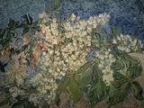 Blossoming Chestnut Branches