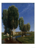 Summer Day
