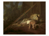 Still-Life
