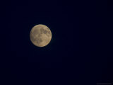 Full Moon on a Summer Night