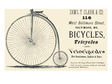 Bicycles  Tricycles  and Velocipedes
