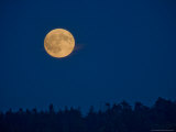 Full Moon on a Summer Night