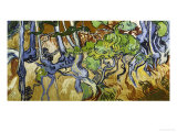 Tree Roots and Tree Trunks