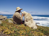 Man and His Italian Sheep Dog Sit Overlooking the Ocean