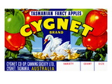 Cygnet Tasmanian Fancy Apples