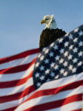 Close View of the American Flag's Stars and Stripes Waving in the Wind