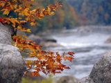 Autumn Hues and Large Boulders Along the Gauley River