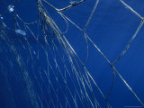 Fishermen's Nets Set Out to Corral Bluefin Tuna During the Migration