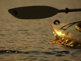 Paddling a Kayak Over Walden Pond at Sunset