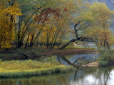 Trees in Autumn Hues at the Confluence of Gauley and Kanawha Rivers