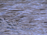 Wave Patterns on Eva Lake