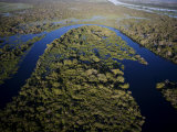 Waterway Patterns Decorate the Southern Pantanal