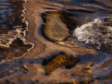 The Milwaukee River Flowing and Splashing Over the Rocky River Bed
