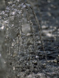 Water From a Fountain Creates an Interesting Glistening Pattern