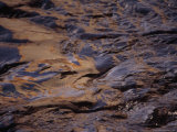 Patterns in the Waves of the Milwaukee River