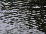 Wave Patterns on Eva Lake
