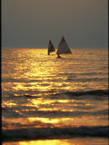 Sailboats Travel Across the Golden Surface of Lake Ontario at Sunset