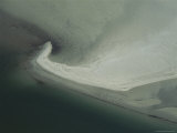Seals on a Sandbank  Aerial View  North Sea Coast