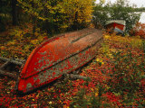 An Upturned Rowboat Among Red Osier Dogwoods in Fall Foliage