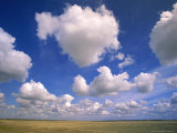 Cumulus Clouds Boiling Over a Saskatchewan Prairie in Summer