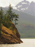 Fir Trees Cling to a Waterside Cliff