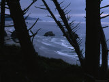 Twilight View of an Oregon Shore Seen From a Cliff