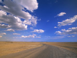Cumulus Clouds Above a Dirt Road on a Wyoming Prairie