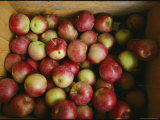 Apples in a Box  Vermont