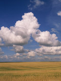 Cumulus Clouds in Blue Sky Over Prairie