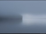 Thick Fog Hangs Over Eerily Calm Water Where a Point of Land Juts Out