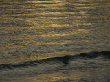Sunlight Reflected on Waves in the Pacific Ocean