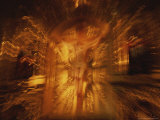 Soft Zoom Emphasizes the Golden Glow of the San Fernando Altar