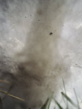 This May Be the Closest Photograph Ever Taken of a Tornado