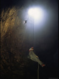 The 165 Foot Deep Conoly Hole  a Pit Cave Near Viola  Tn