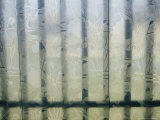Wrought Iron Fence is Seen Through a Cut Glass Window