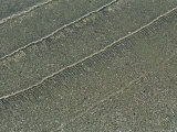 The Surf Leaves a Pattern of Ripples in the Sand