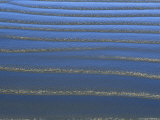 The Surf Leaves a Pattern of Ripples in the Sand
