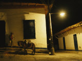 Man Rests Against a Wall Near His Donkey Under a Streetlight