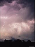 Lightning From a Severe Storm Flashes Over an Isolated Group of Trees