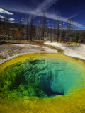 Colorful Hot Spring and Dead Trees at the Upper Geyser Basin