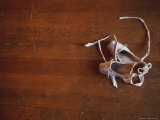 Pair of Ballet Slippers on a Hardwood Floor