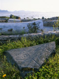 Killer Whale Petroglyph on the Beach at Petroglyph Beach State Park