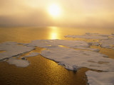 Sunlight over Ice Floes