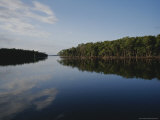 Clouds and Shoreline Trees Reflect in an Everglades Canal