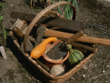 Basket of Historically Accurate Colonial Gardening Tools