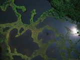 Aerial View of Flooded Lands with Sunlight Reflection and Plane Shadow