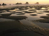 Low Tide on a Beach with Sea Stacks in Olympic National Park