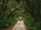 Cyclists on a Trail