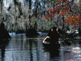 Park Ranger Canoeing Under Cypress Trees Draped with Spanish Moss