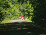 Cyclists on a Trail in the Pinckney Island National Wildlife Refuge